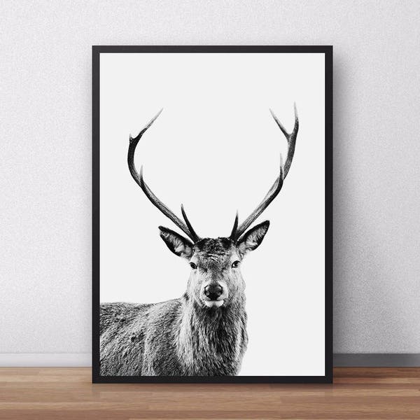 Sale!!! Deer Print, Forest Animal Wall Art, Nursery Printable, Baby Woodland Print, Deer Poster, Nursery Decor, Deer, Woodland Nursery