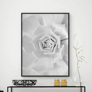Kaktus Poster, Weißes Sukkulenten Poster, Wandkunst, Sukkulenten Poster, Sukkulenten Foto, skandinavisches Poster, Home Decor