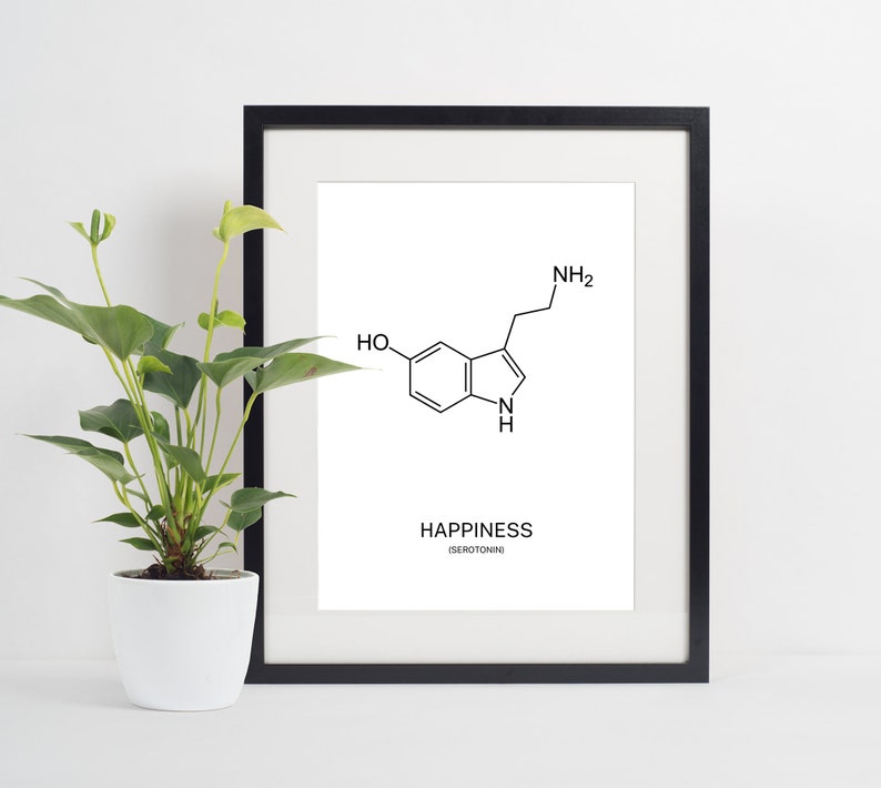 Download Serotonin MoleculeMinimalist Prints Science Poster | Etsy