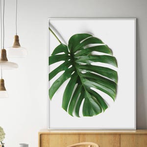 Sale!!! Monstera Print, Monstera Leaf, Tropical Print, Monstera Leaf Print, Monstera Wall Art, Tropical Decor, Monstera Deliciosa