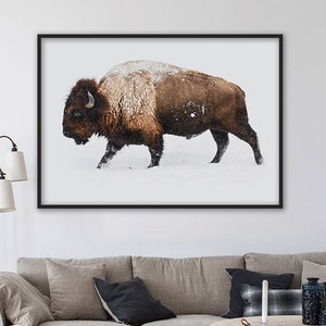 SALE! Bison Print, Buffalo Print, Animal Prints, Farmhouse Decor, Bison Wall Art, Bison Wall Decor, Boys Bedroom Decor, Large Wall Art Print