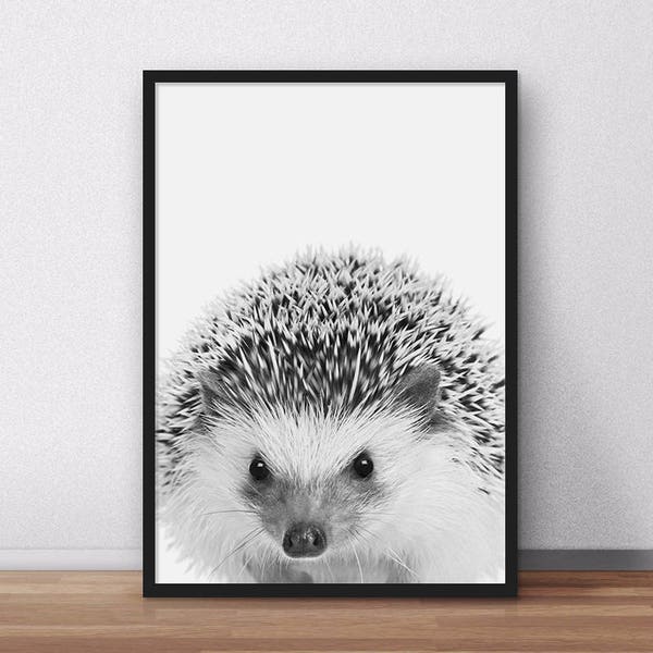 Hedgehog Nursery Decor Etsy