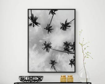 Sale!!! Palm Tree Print, Black and White Palm, Tropical Decor, Palm Tree Art, Palm Tree Photo, Tropical Wall Art, California Print