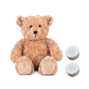Premium Classic Teddy with 2 x 60 second voice recorder - 16 inch/40cm - baby heartbeat bear