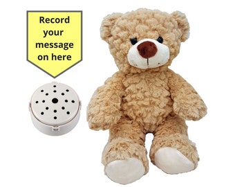 Toffee de teddybeer met 60 seconden voicerecorder en geschenkdoos - 25 cm - babyhartslagbeer