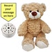 see more listings in the 10" Recordable Bears section