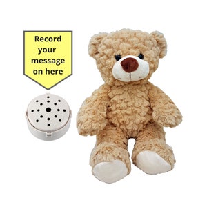 Ours en peluche avec enregistreur vocal de 60 secondes et boîte cadeau 25 cm/10 pouces bébé ours qui bat image 1