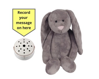 Lapin gris souple 25 cm (10 po.) avec enregistreur vocal de 60 secondes et boîte cadeau - 25 cm (10 po./25 cm) - bébé ours cardiaque