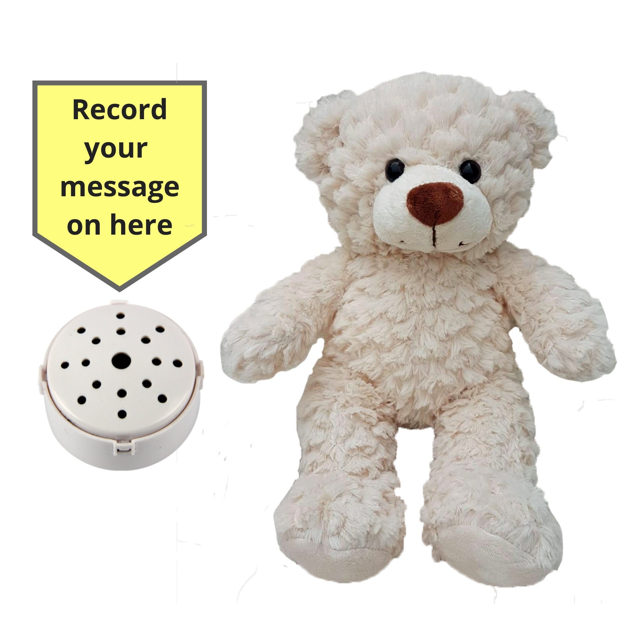 voice recordable teddy bear