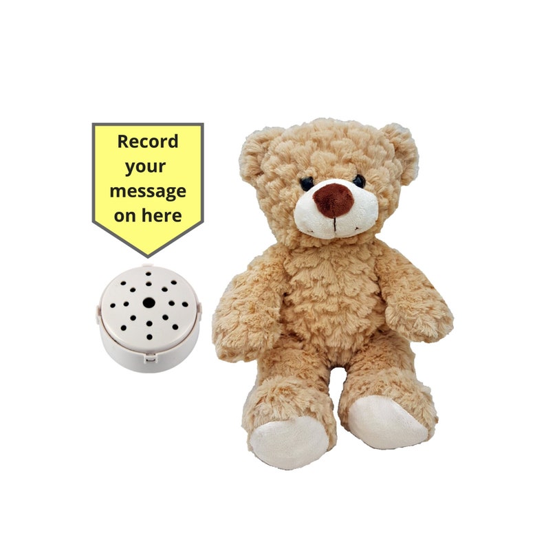 Toffee the Teddy Bear with 60 second voice recorder and gift box 10 inch/25cm baby heartbeat bear image 1