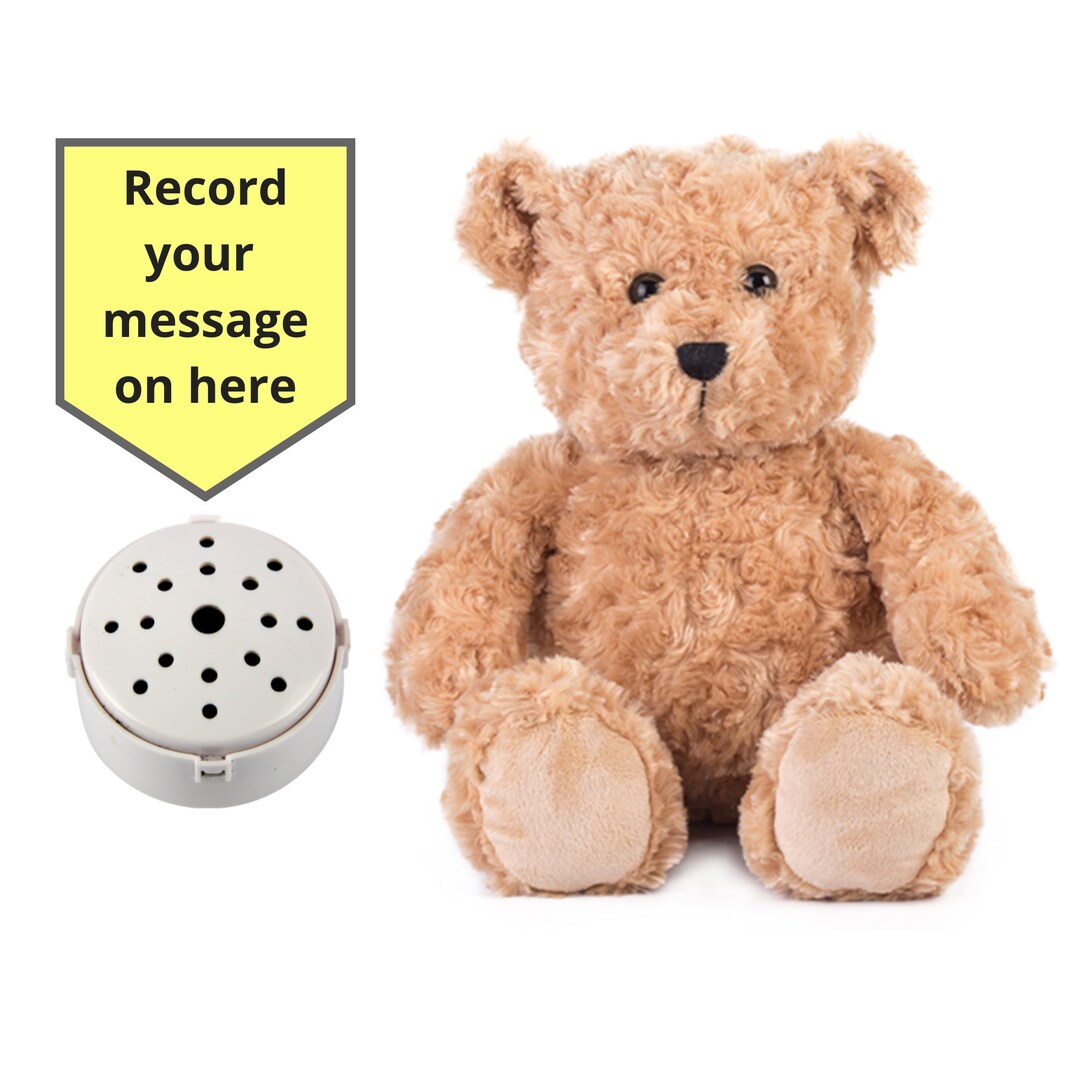 10 Classic Teddy Bear With 60 Second Voice Recorder and Gift Box 10 Inch/25cm Baby Heartbeat