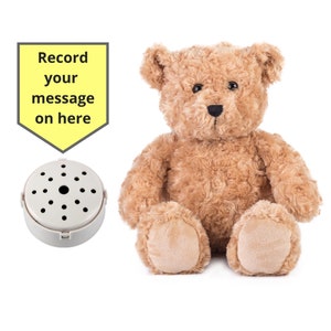 Enregistrement sonore de boîte à musique de module de voix enregistrable de  bouton des 30 s pour le cadeau de jouet de poupée en peluche