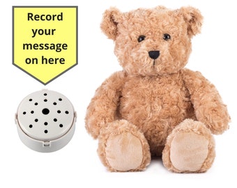 Ours en peluche classique 10 po. avec enregistreur vocal de 60 secondes et boîte cadeau - 25 cm/10 po. - bébé ours cardiaque