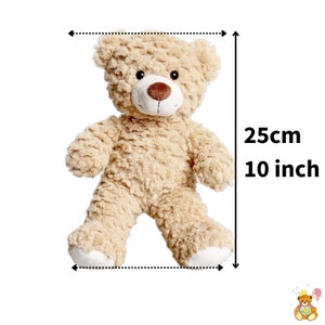 Ours en peluche avec enregistreur vocal de 60 secondes et boîte cadeau 25 cm/10 pouces bébé ours qui bat image 4