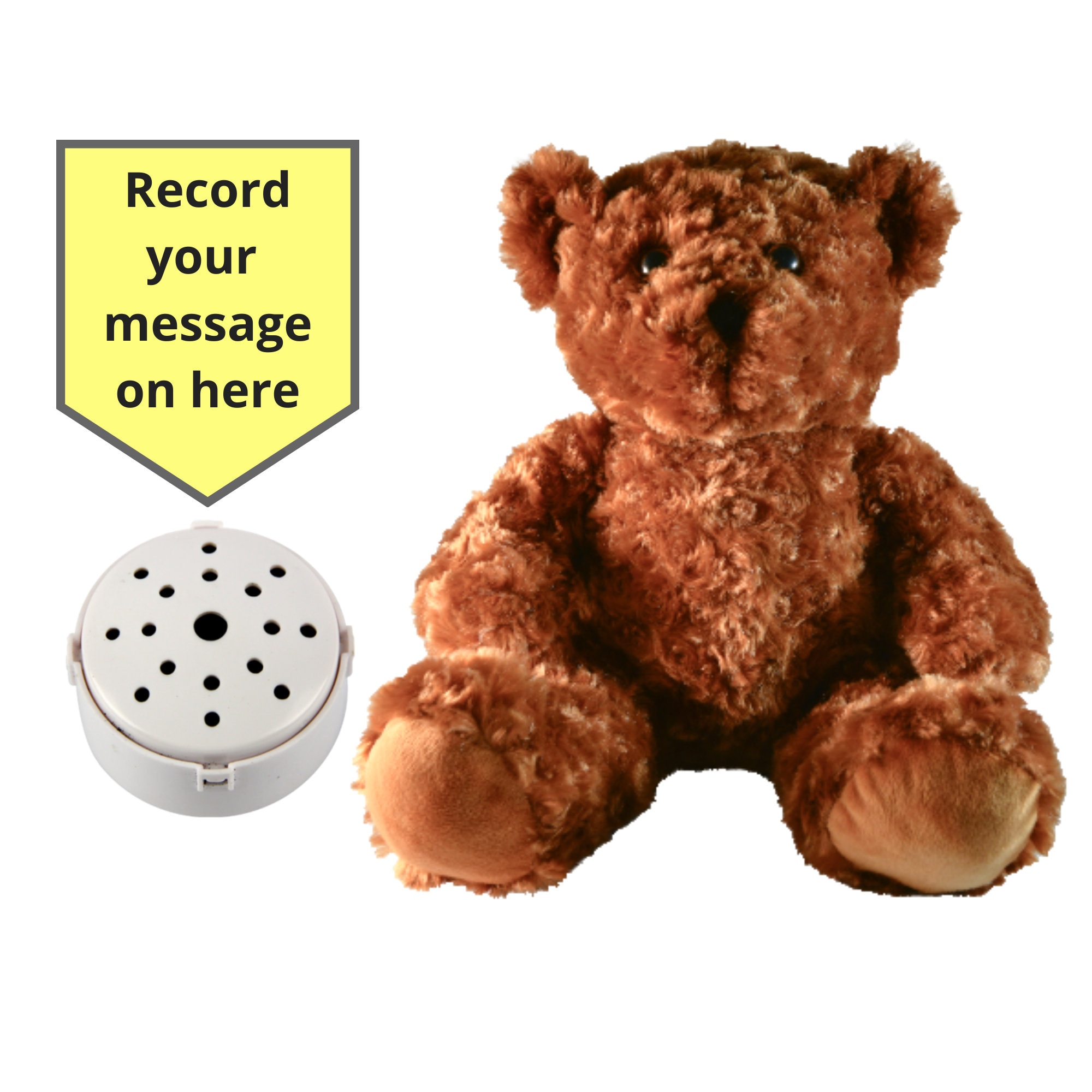 Mini enregistreur vocal, boîte vocale ours de 30 secondes