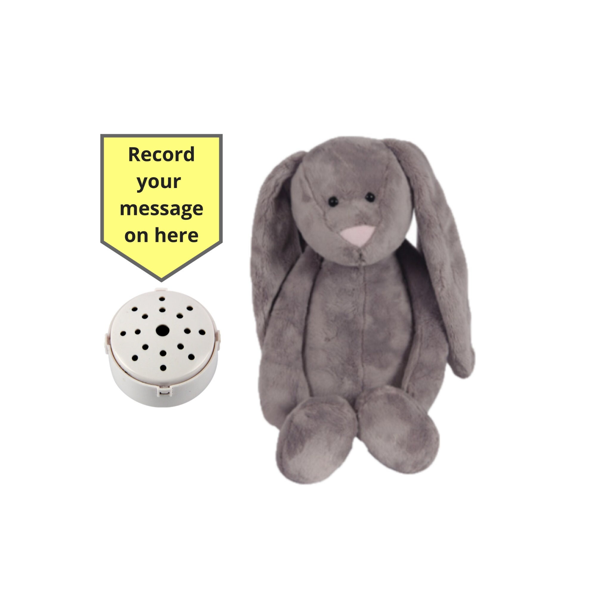 Record a best sale message stuffed animal