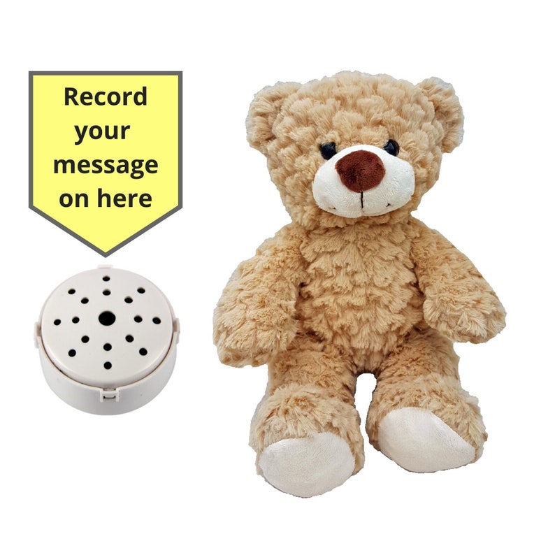 Ours en peluche avec enregistreur vocal de 60 secondes et boîte cadeau 25 cm/10 pouces bébé ours qui bat image 2