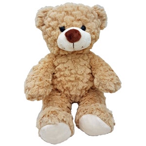 Ours en peluche avec enregistreur vocal de 60 secondes et boîte cadeau 25 cm/10 pouces bébé ours qui bat image 3