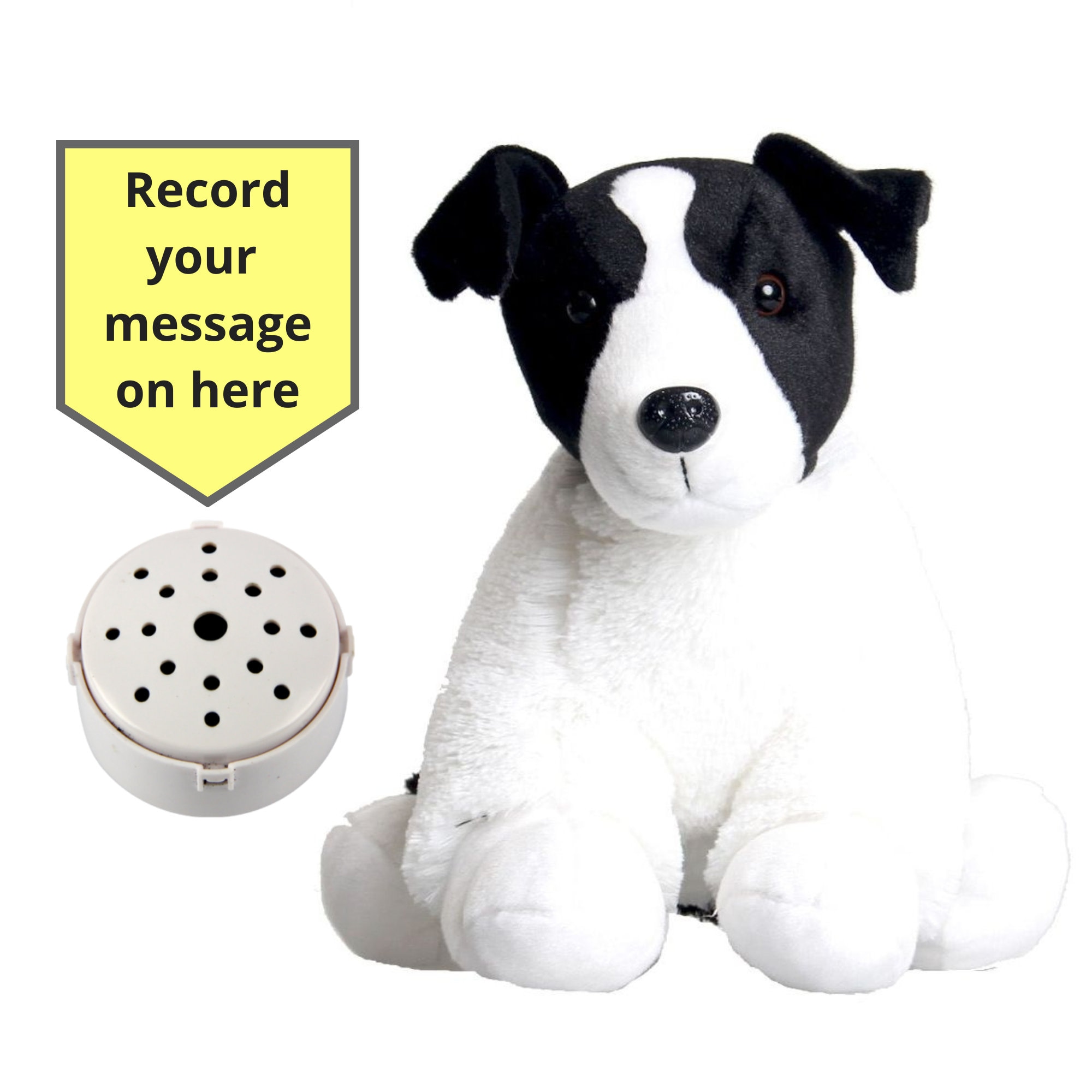 Do Dogs Have Voice Boxes