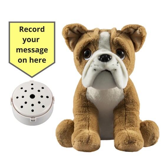 Bulldog Plush With 60 Second Voice Recorder and Gift Box 10 Inch