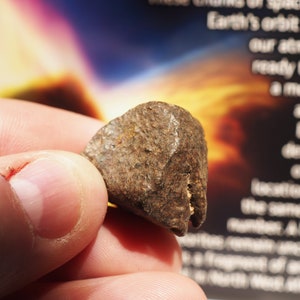 Space Rock! - Genuine Stone Meteorite from North West Africa