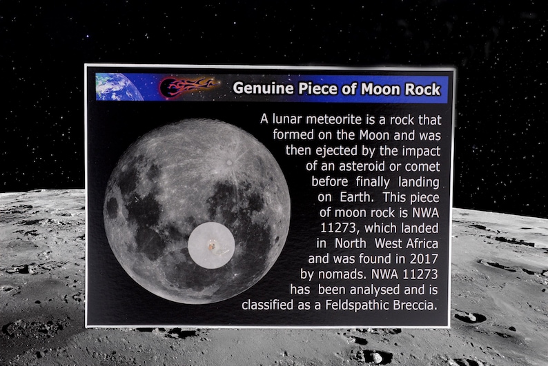 Genuine Moon Rock! - NWA 11273 Lunar Meteorite on a Display Card - Etsy