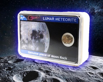 Autentica roccia lunare! - Frammento di un meteorite lunare in una scatola espositiva