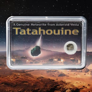 May include: A clear plastic case with a black and white image of a meteorite. The case has the text "A Genuine Meteorite from Asteroid Vesta Tatahouine" printed on it.