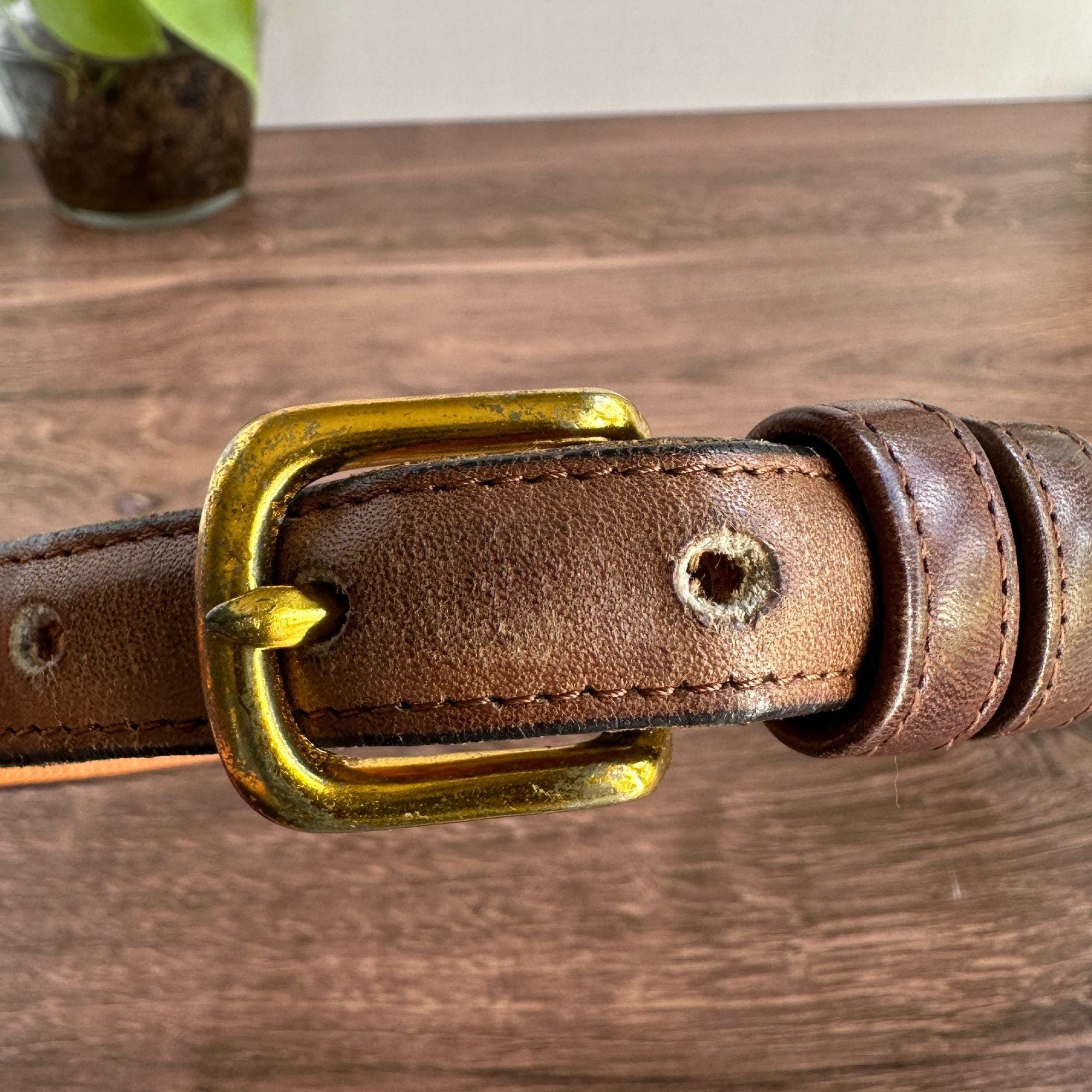 Coach Glove-Tanned Leather Skinny Belt in Tan Coach Glove Tanned - Etsy main image 2