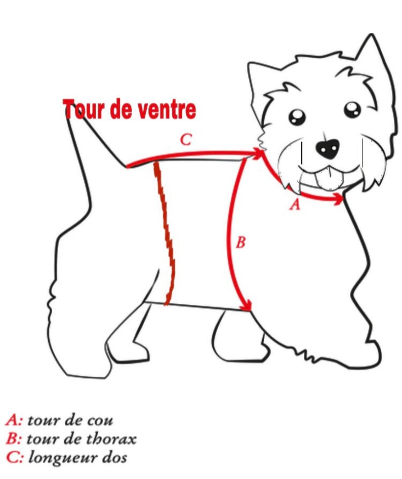 Manteau Rose Pour Chien Et Chat, Motif Fleur Blanche, Manteau Petit Chien, Accessoire Chaud Hiver Polaire, Manteau Sur Mesure image 5