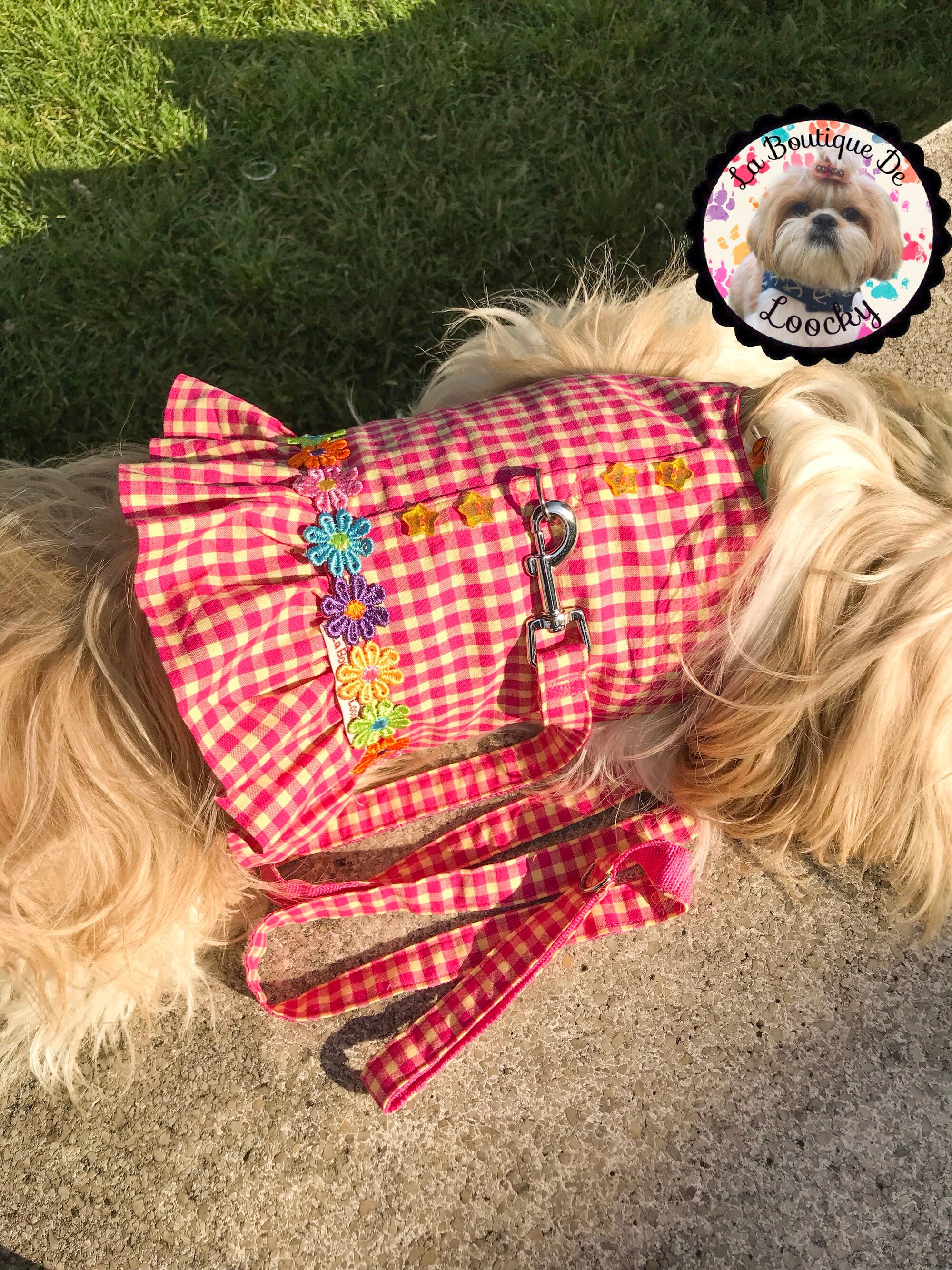 Ensemble Harnais Laisse Vichy Rose avec Boutons Étoiles et Galon Fleuri/Harnais Chien sur Mesure Har