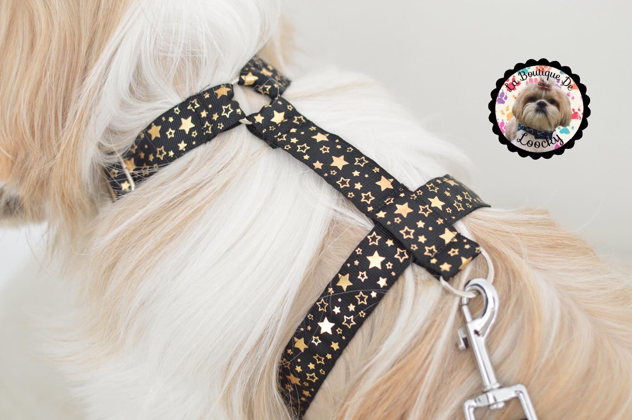 Harnais Pour Chien Motif Etoiles/Harnais Y Fait Main Promenade Solide Accessoires Petit Chien