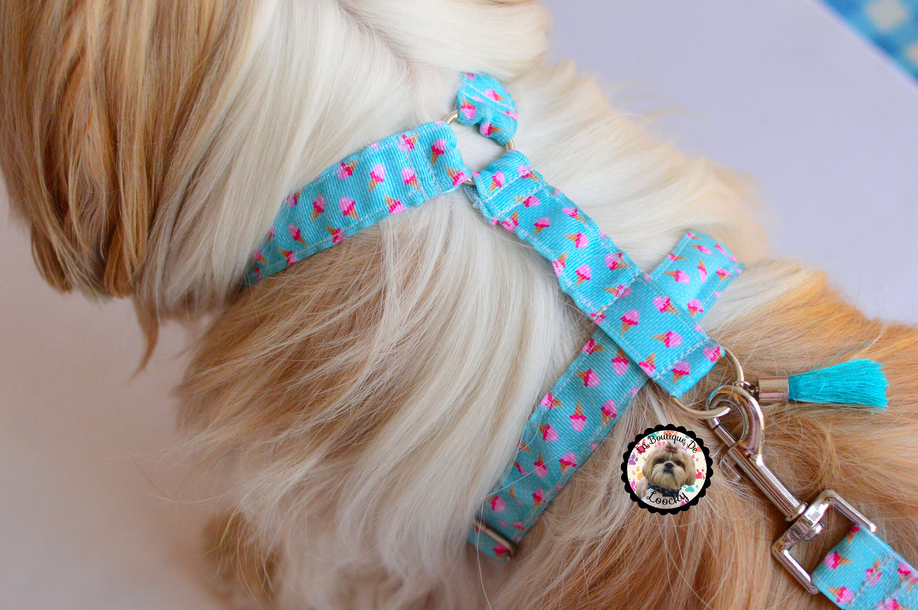 handmade dog harness pattern