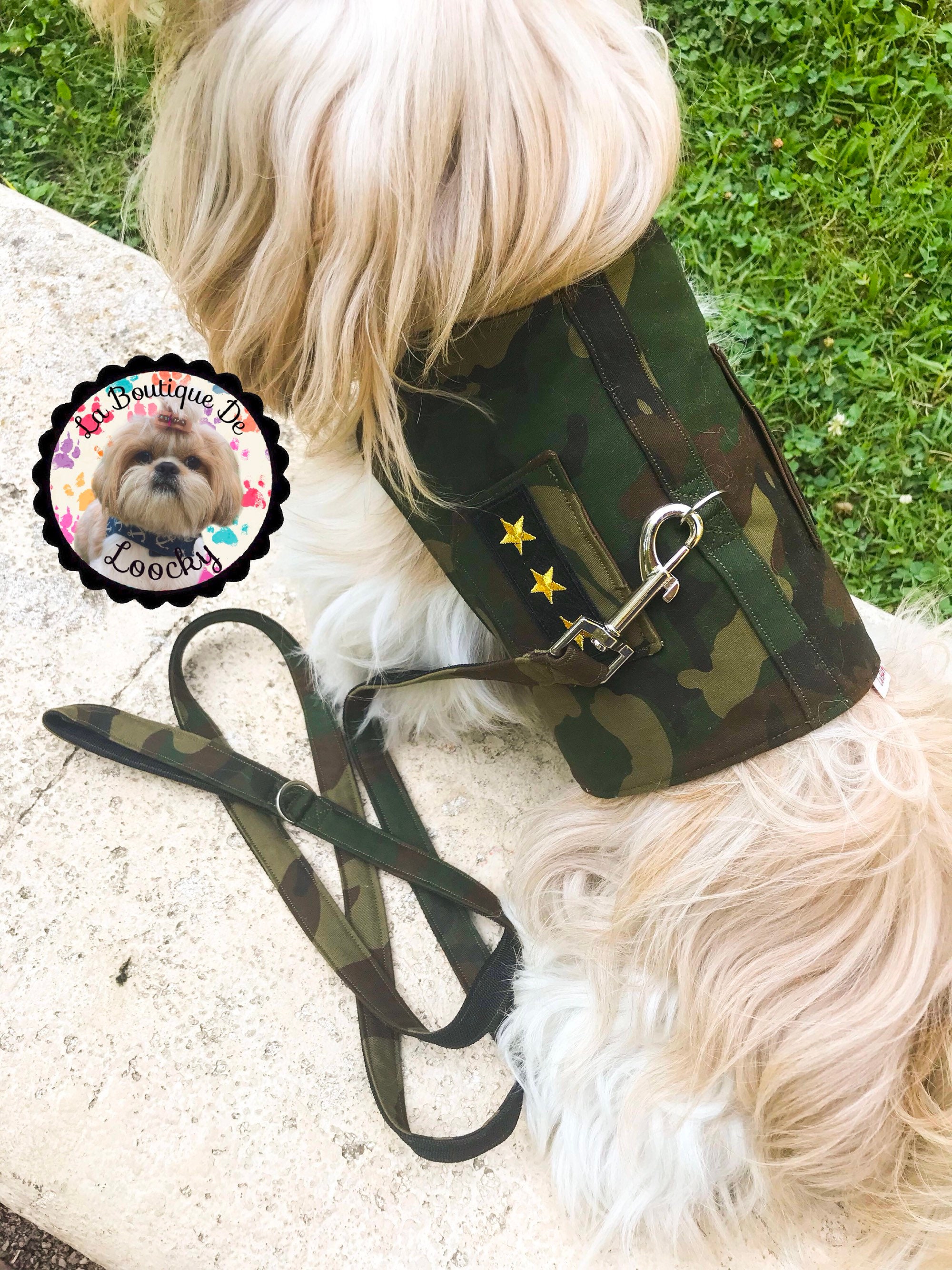 Ensemble Harnais Laisse Camouflage Pour Chien/Harnais Fait sur Mesure Laisse /