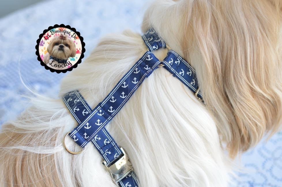 Harnais Pour Chien Motif Ancres Marin/Harnais Fait Main Promenade Solide Accessoires Petit Chien
