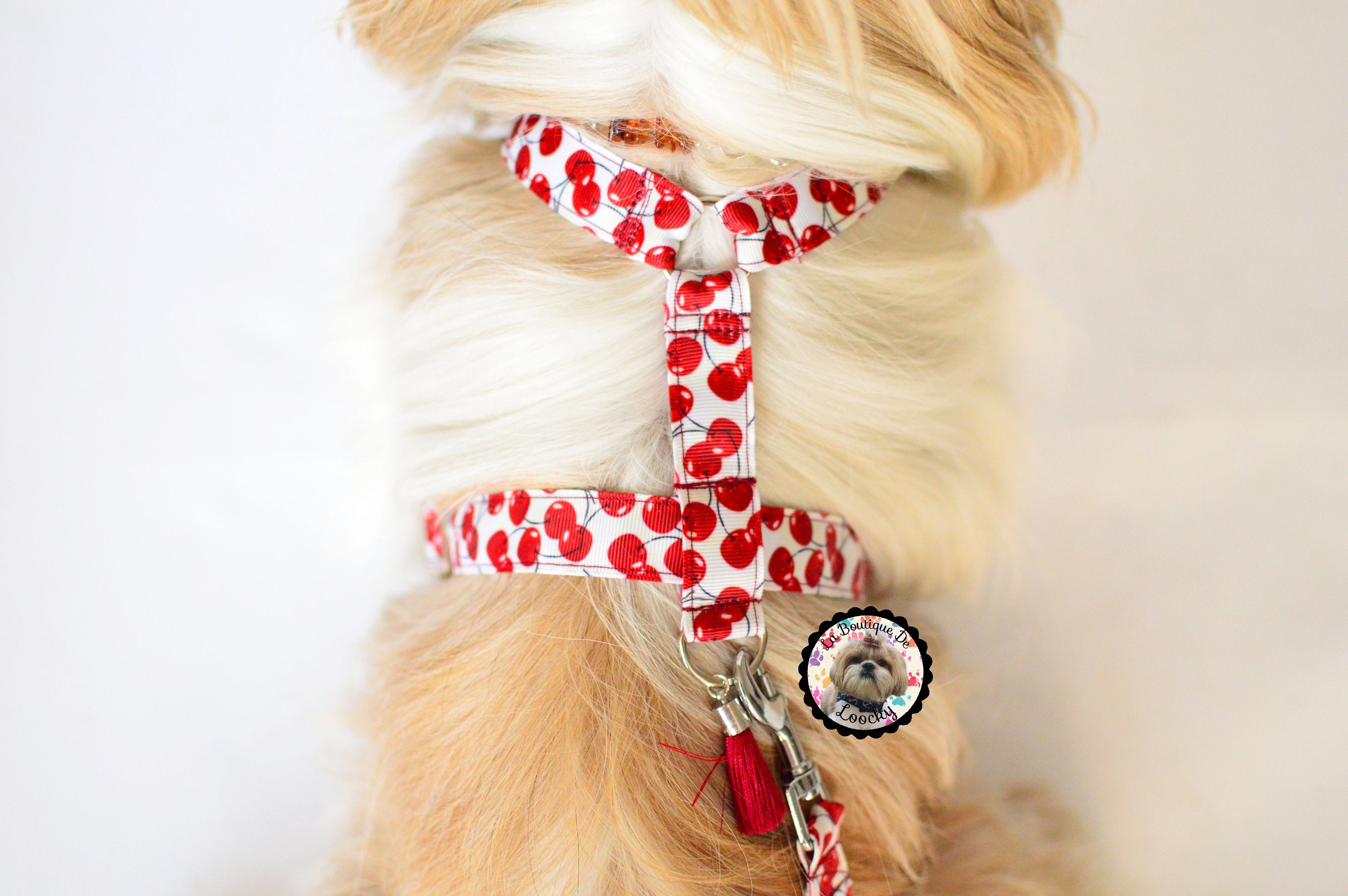 Harnais Motif Cerise Pour Chien/Harnais Y Fait Main Promenade Solide Accessoires Petit Chien