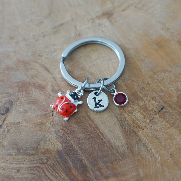 Ladybug keychain - Ladybird keyring - porte clé coccinelle - Ladybug gift - Friend gift birthday gift - Good Luck - Fortune