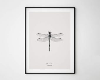 Dragonfly Print Etsy Dragonfly Print Etsy