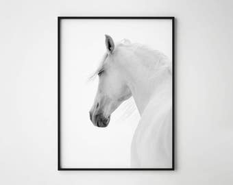 Horse print, black and white horse print, horse, wild horse, scandinavian horse, horse wall art, horse photography, white horse poster