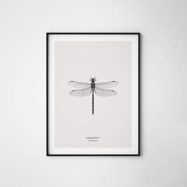 Dragonfly Print, Black and White, Insect Print, Anisoptera, Minimal Print, Wall Art, Scandinavian Design, Instant Download, Nordic Design