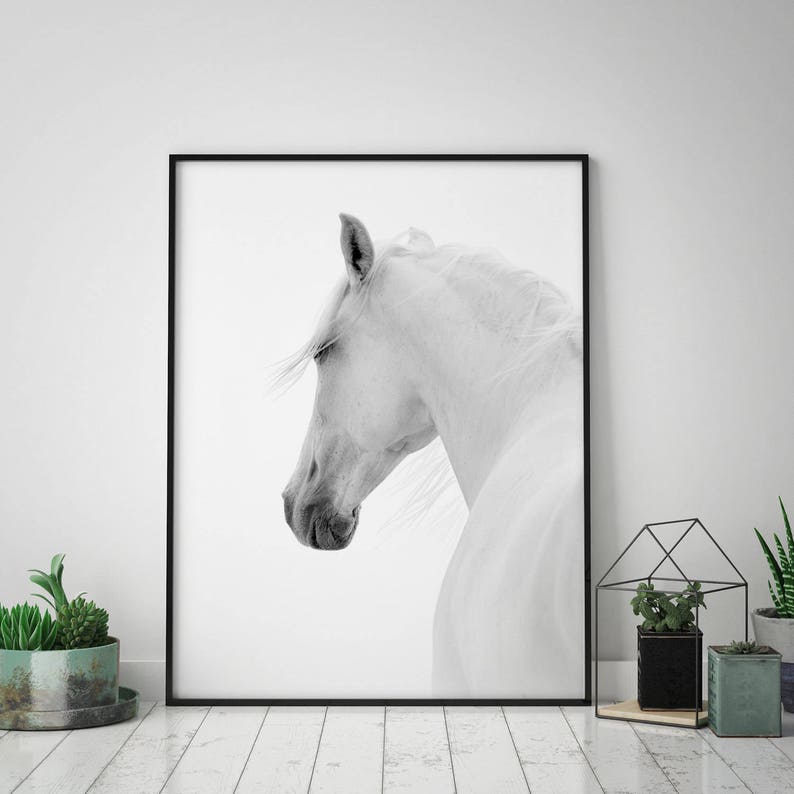 Horse Print Black and White Horse Print Horse Wild Horse - Etsy