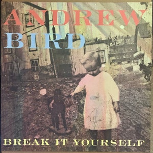 Andrew Bird: póster del álbum Break it Yourself 24" x 24"