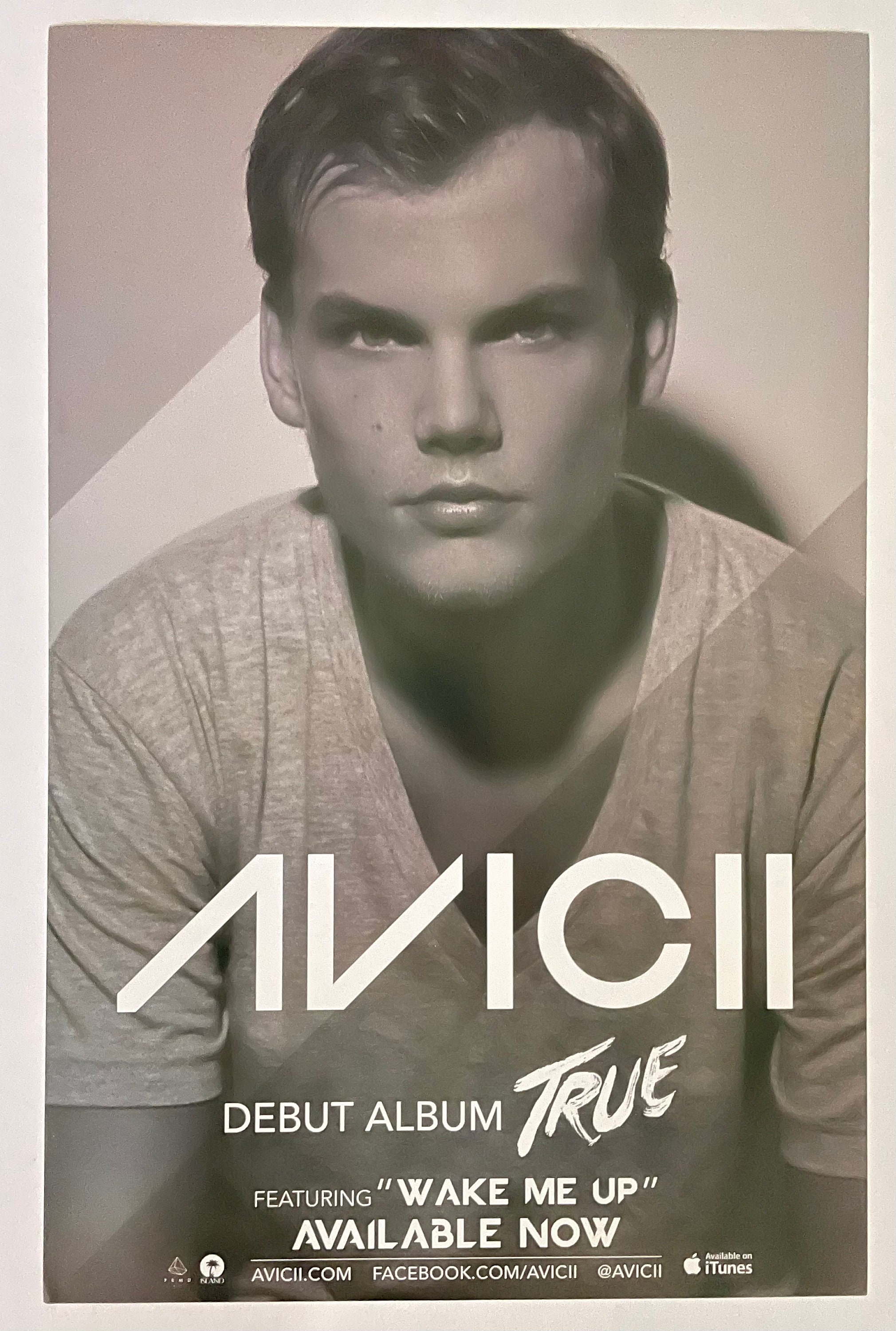 True Avicii Album Cover