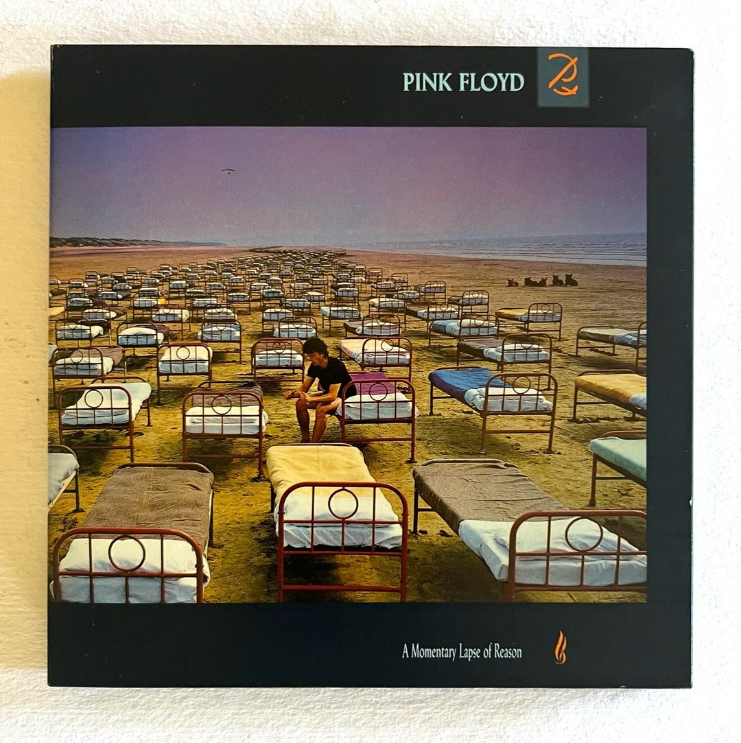 Pink Floyd "a Momentary Lapse of Reason" CD 1987 With All the Extras Etsy