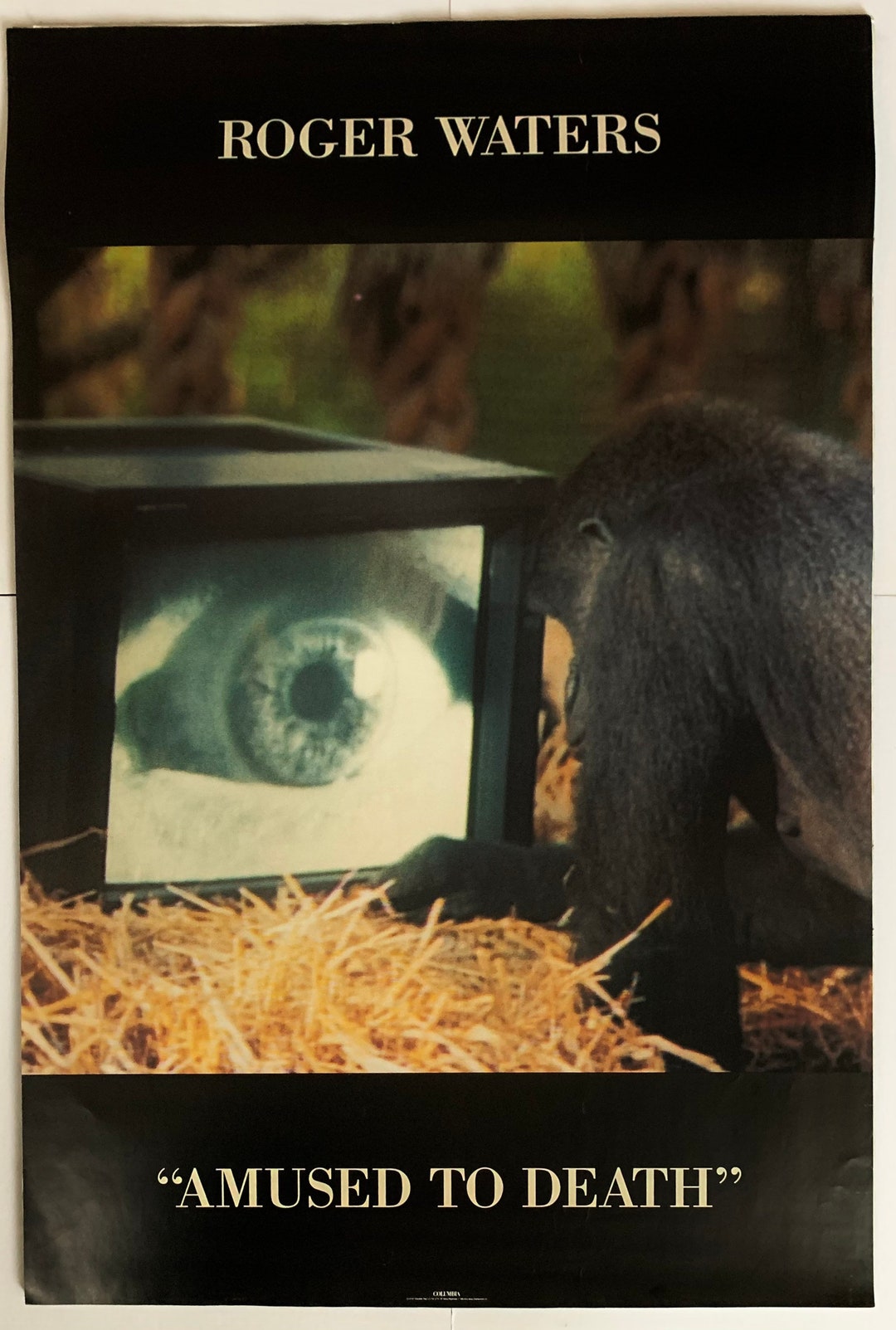 Roger Waters Amused to Death Album Poster 24” X 36”- 1992 - Etsy
