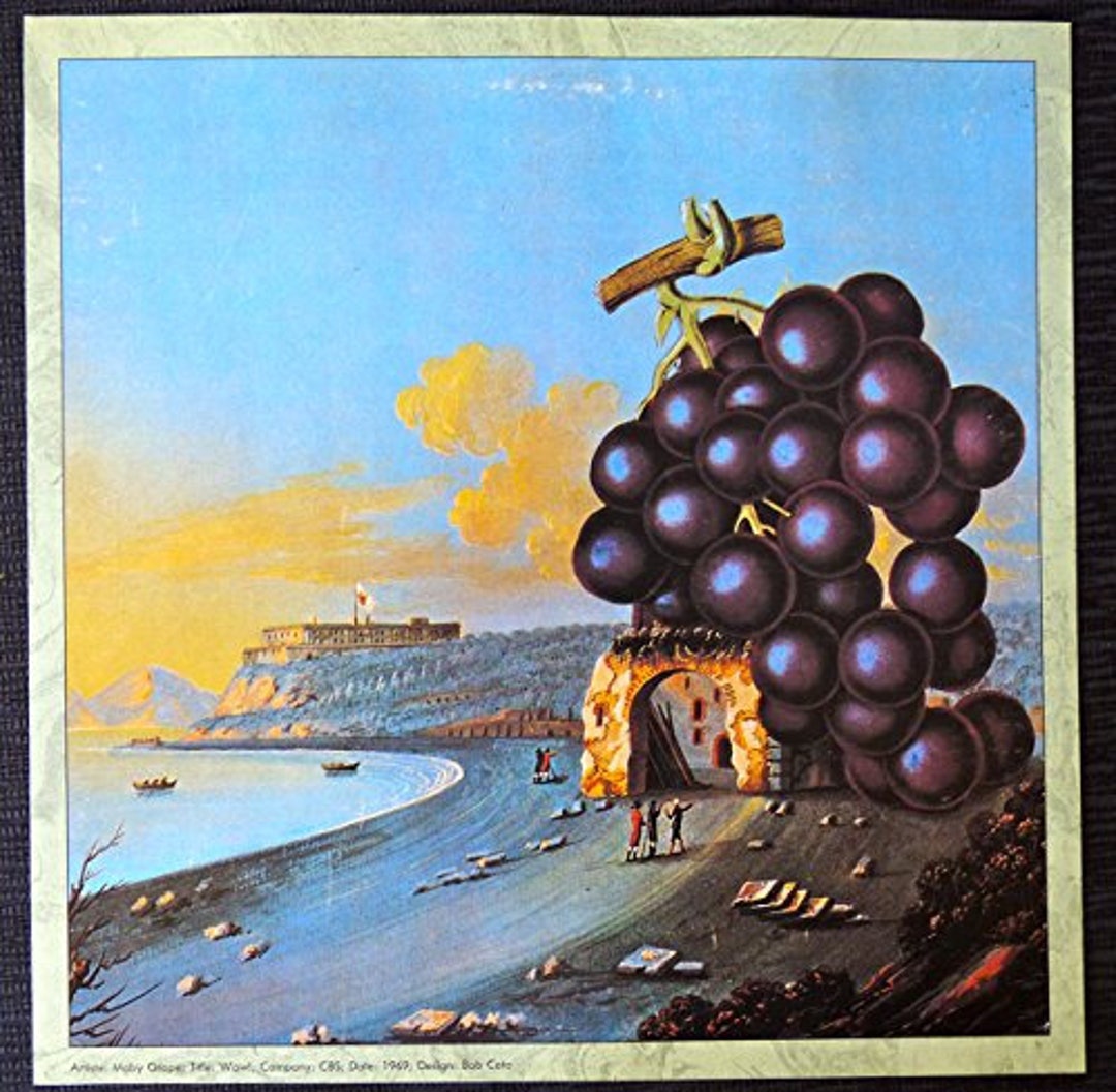 Moby Grape Wow Vintage Album Cover Poster Etsy