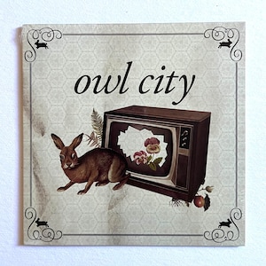 Owl City Fireflies/Vanilla Twilight 7&quot; 2010 Record Store Day Release
