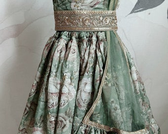 Sage Green Floral Lehanga With Embroidery All Over   | Traditional Indian Dress for Girl | Lehenga for Girl | Kid Lehenga Choli