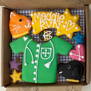 Vet / Vet Nurse cookie box; Royal Iced Biscuits; Letterbox gift