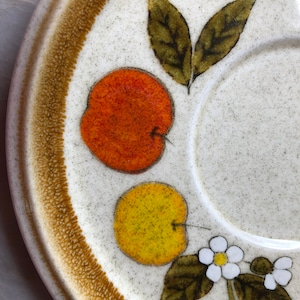 Mikasa Stone Manor &quot;Tempting” 2 Saucers F5812